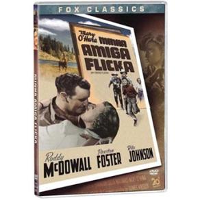 DVD - Minha Amiga Flicka - 66601
